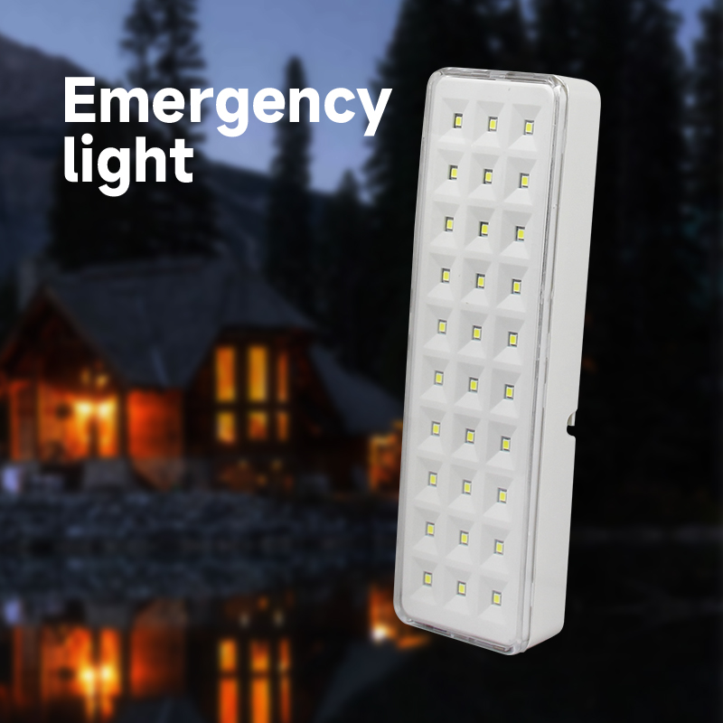 2 Modes Dimmable Rechargeable  - đánh giá và giá Power Outage Light